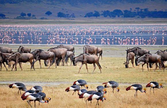 Lake Manyara National Park