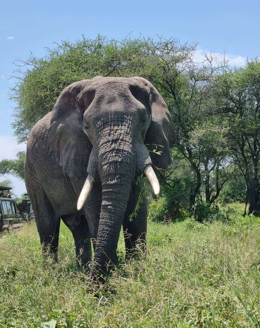 Serengeti National Park