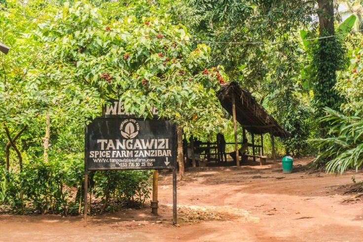 Spice Farm in Zanzibar